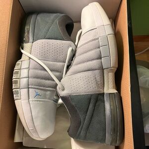 Jordan Team Elite Low men’s white and gray